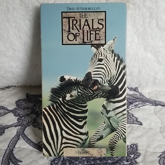 Vintage 1991 David Attenborough's "The Trials of Life" Time Life 12 VHS Box Set - Picture 12 of 15